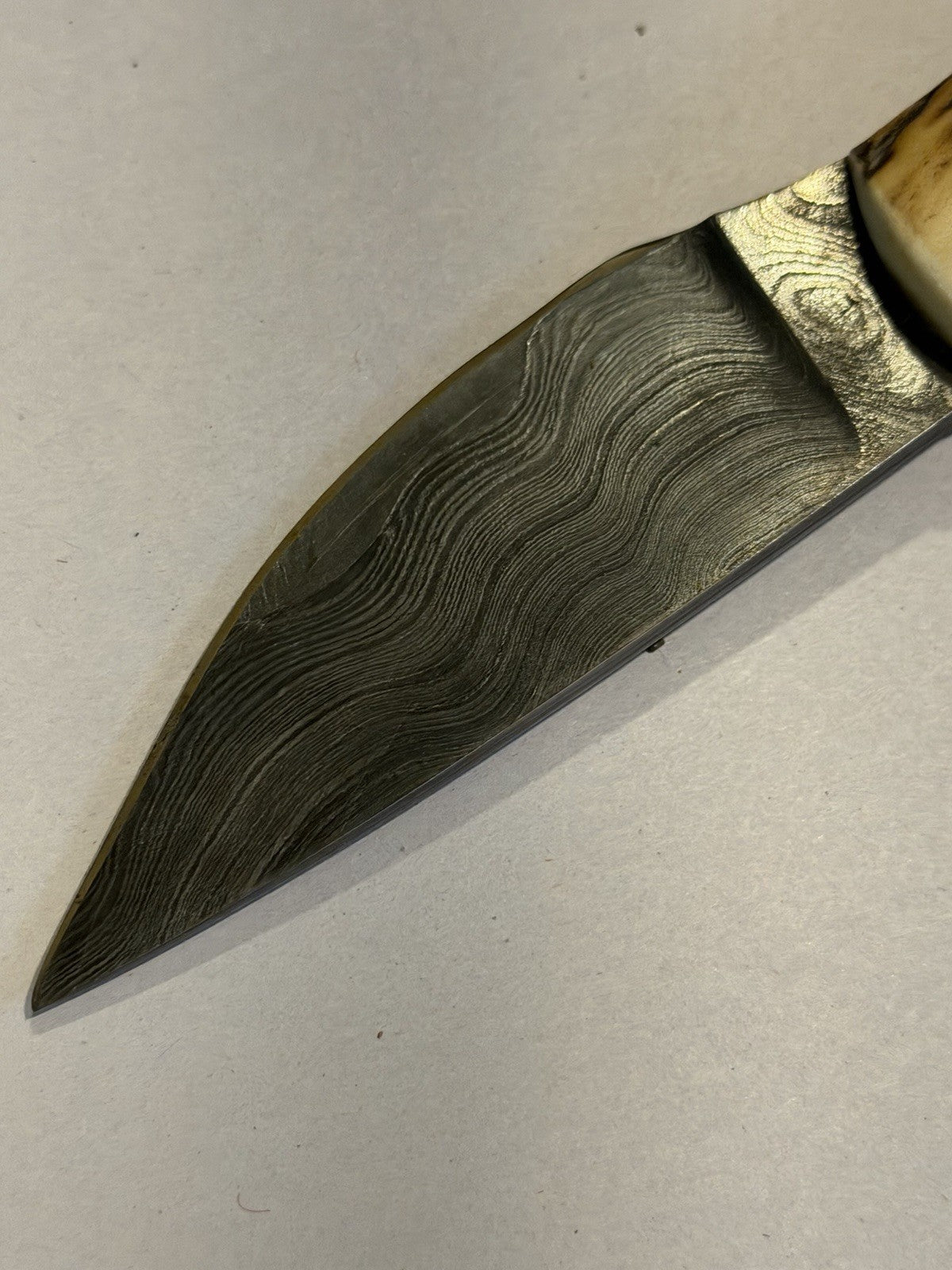 49494890