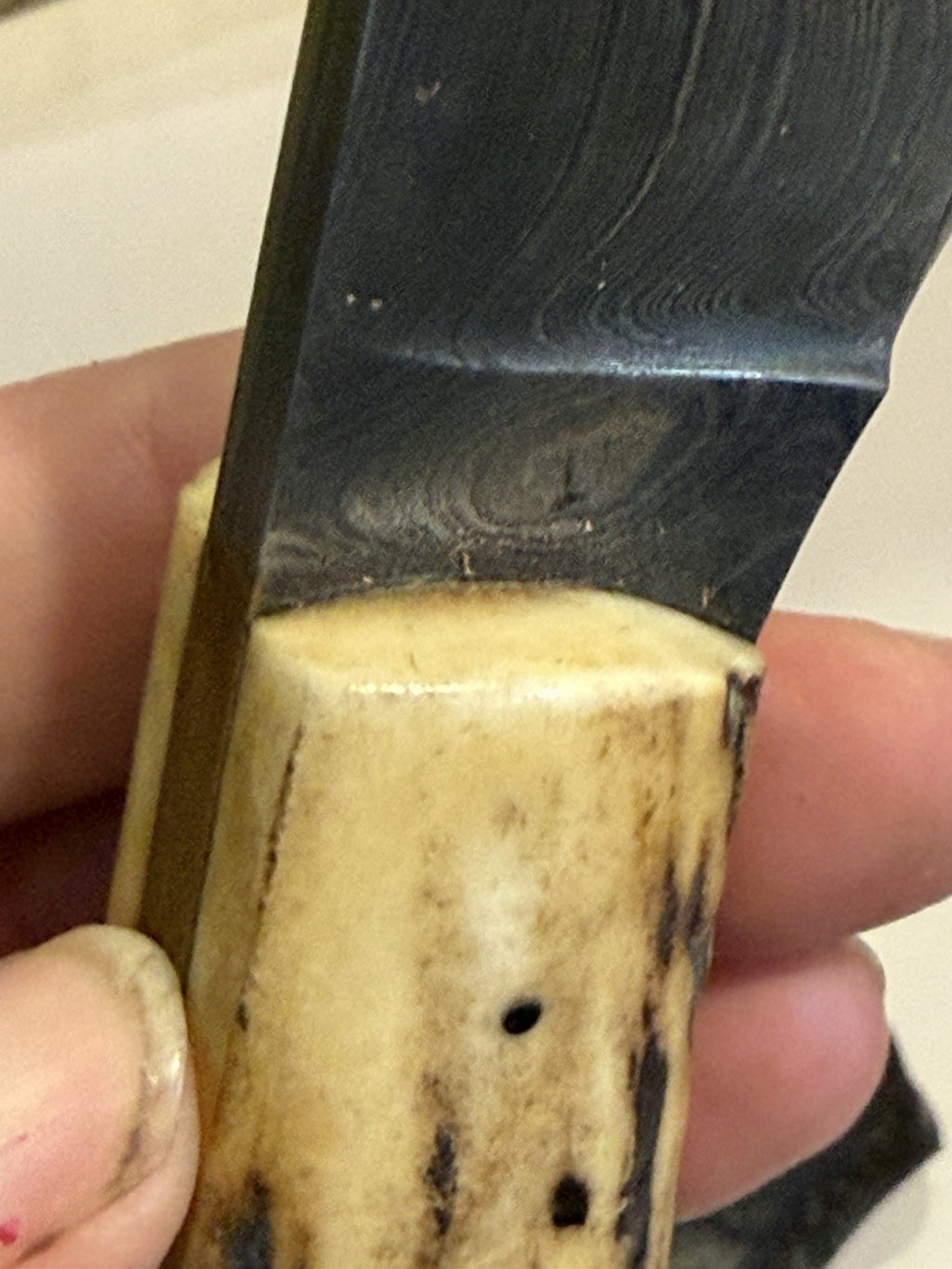 49494890
