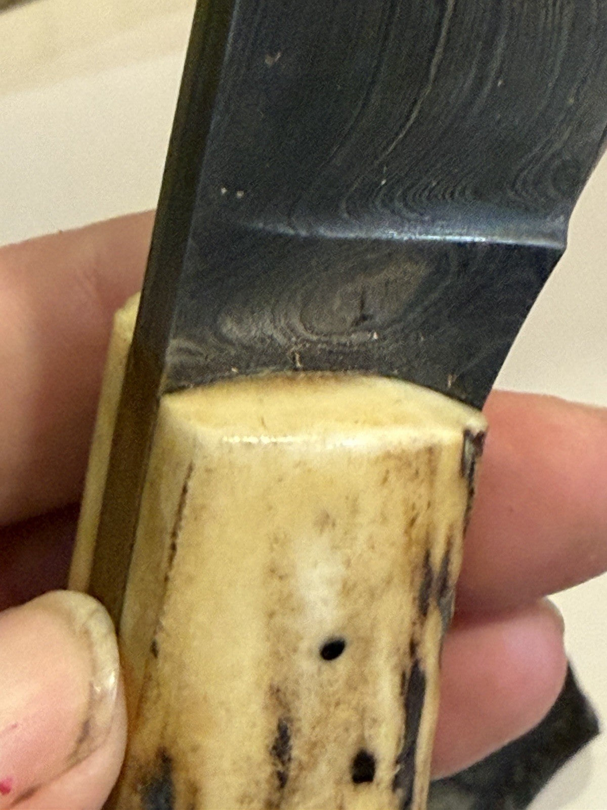 49494890