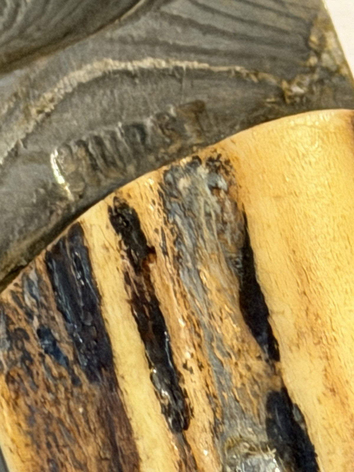 49494890